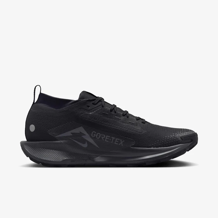 NIKE Pegasus Trail 5 GORE-TEX MEN'S SHOES